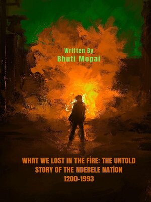 cover image of What We Lost In the Fire,  the Untold Story of the Ndebele Nation
